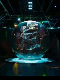 【átoa（アトア）】アート×水族館の新感覚体験！五感で楽しむ幻想空間🎨🐟