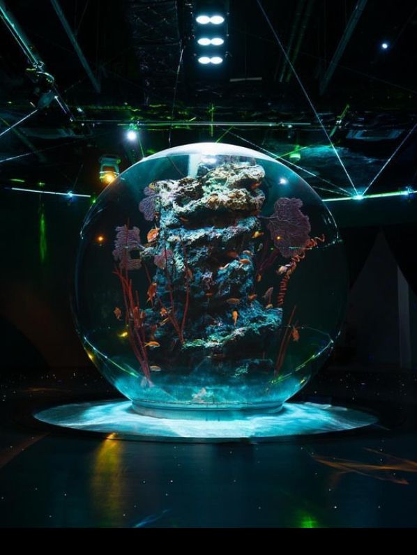 【átoa（アトア）】アート×水族館の新感覚体験！五感で楽しむ幻想空間🎨🐟