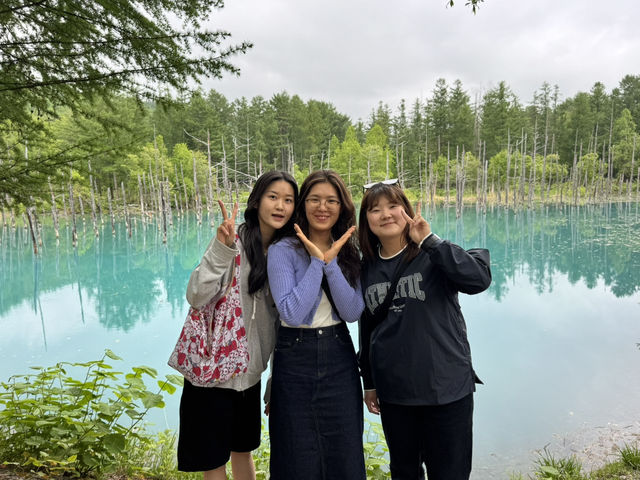 여름 후라노에 가야하는 이유 ❤️