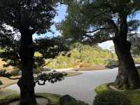 足立美術館（日本第一庭院）