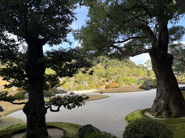 足立美術館（日本第一庭院）