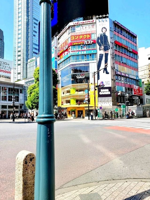 Shibuya Moments: From the Crossing to Hachikō