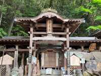 【圓満寺】恋愛成就のパワースポットで、願いを込める旅💌🌸