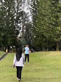 Hilltop Views & Pine Vibes – My Walk at Taman Saujana Hijau