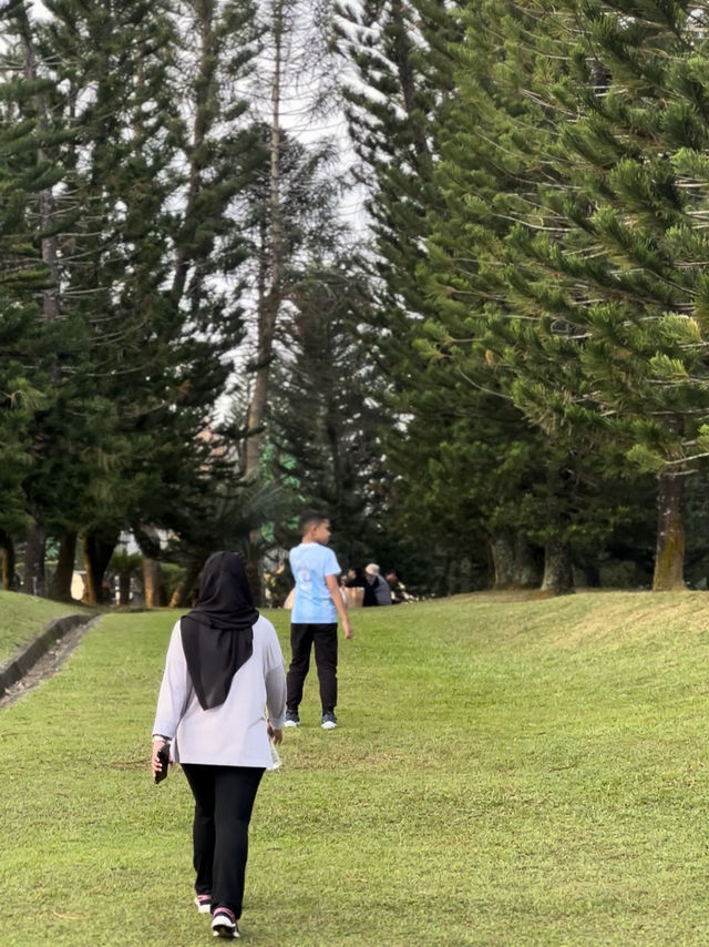 Hilltop Views & Pine Vibes – My Walk at Taman Saujana Hijau