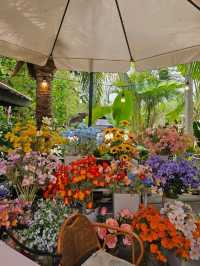 Baanbaan.cafe : มหาสารคาม