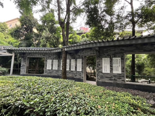 🌿☀️ Slow down and soak up the vibes at Chengdu People’s Park 人民公园