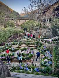 Wangxian Valley