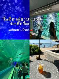 บางแสนก็แค่ปากซอย ไม่มีรถก็เที่ยวได้! 🌊🐠🦀