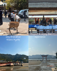 [Japan 🇯🇵] Miyajima Island: Where Deer Roam and Torii Gates Float!