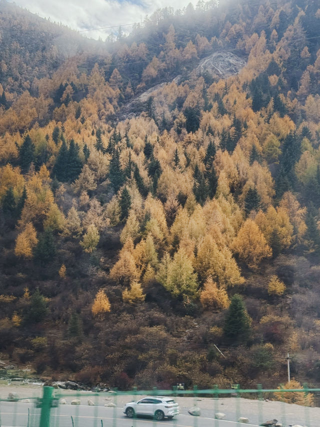 รีวิวการเดินทางไปสี่ดรุณีด้วยตนเอง 🍂