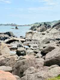 Ocean & Meadows Unbound: A Summer Walk Along Tanesashi Coast