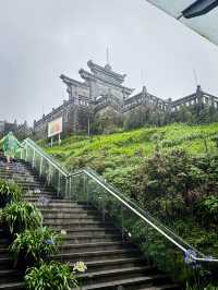 Weekend Calls—Who’s In? Sapa Edition