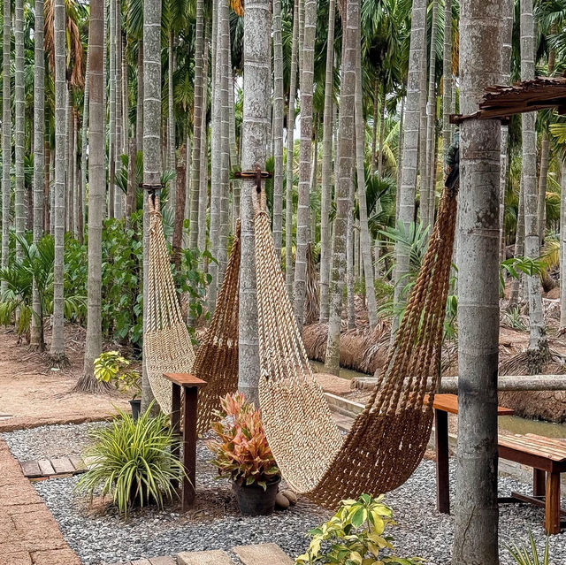 ฌาณ หมาก Coffee & Farm • Chachoengsao 🌴🛖