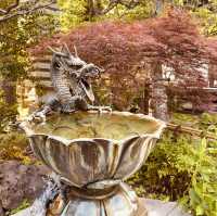 Kamakura Summer Serenity: Temples, Sea Breezes & Matcha Soft Serve