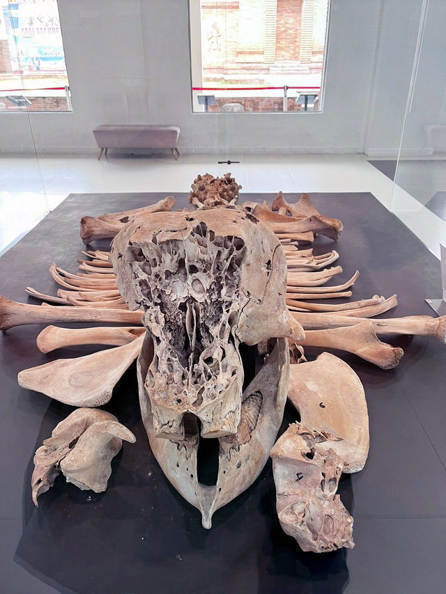 “State Museum of North Sumatra: Journey Through Nature and History” 