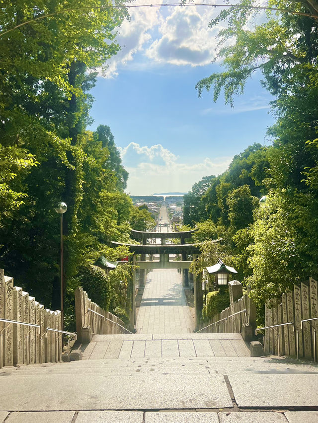 여름이었다..😎☀️ 후쿠오카 근교 후쿠츠시