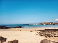 A Quaint Coastal Gem with Local Charm