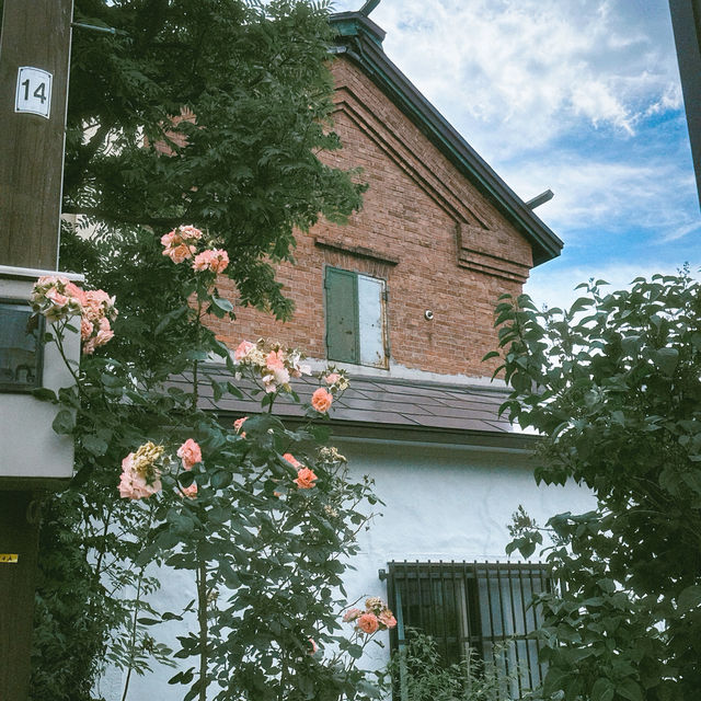 札幌小樽4日間| 女一人旅