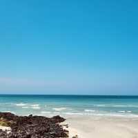 A Convenient Escape into Nature from Hamdeok Beach