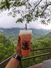 The Giant Chiangmai จ.เชียงใหม่