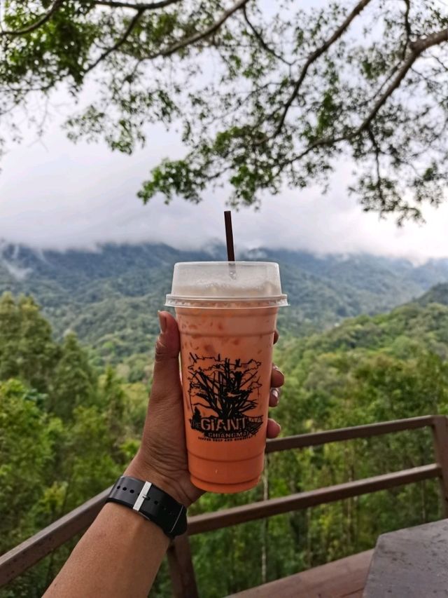 The Giant Chiangmai จ.เชียงใหม่