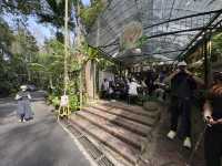 🌿 Elevated Escape: Penang Hill’s Perfect Blend of Nature and Nostalgia