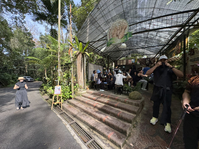 🌿 Elevated Escape: Penang Hill’s Perfect Blend of Nature and Nostalgia
