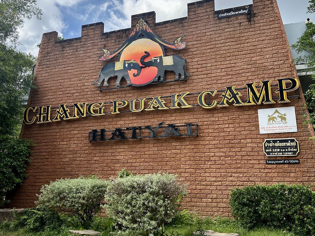 Chang Puak Elephant Camp