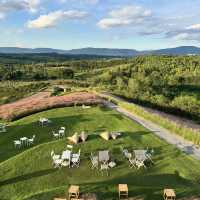 Donghouse Khaoyai — มุมสงบกลางเขาใหญ่