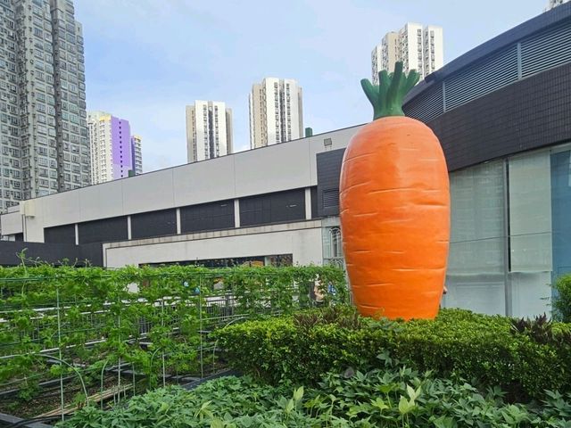 喺繁華嘅石屎森林中,有機會走入大自然,絕對可以令人身心放鬆