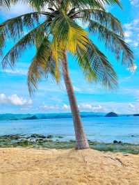 Beyond the Shore: Britania Group of Islands