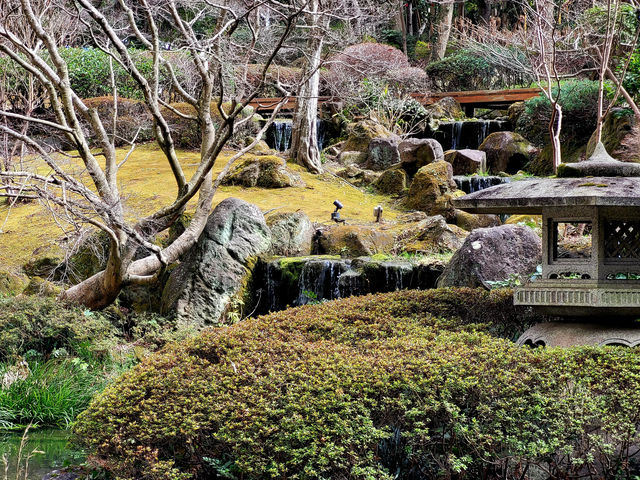 旅宿簡評：Hotel Mystays Premier Narita