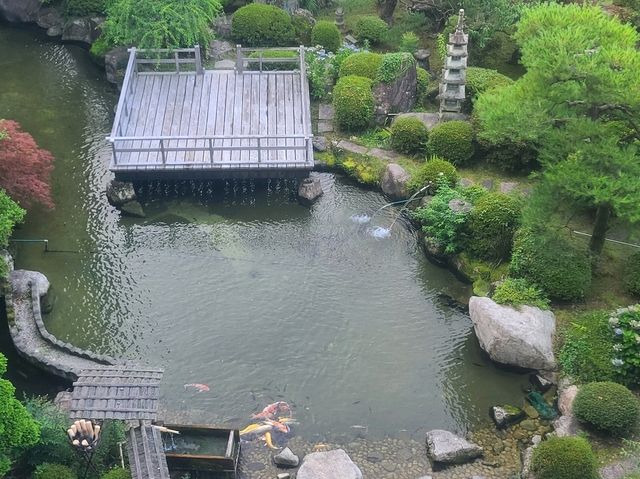 게로온센 보센칸(下呂温泉 望川館) 화실10조(和室10帖) 조석식(Harf Board)
