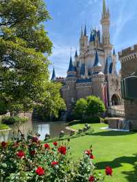 Step Into the Magic: Explore Tokyo Disneyland