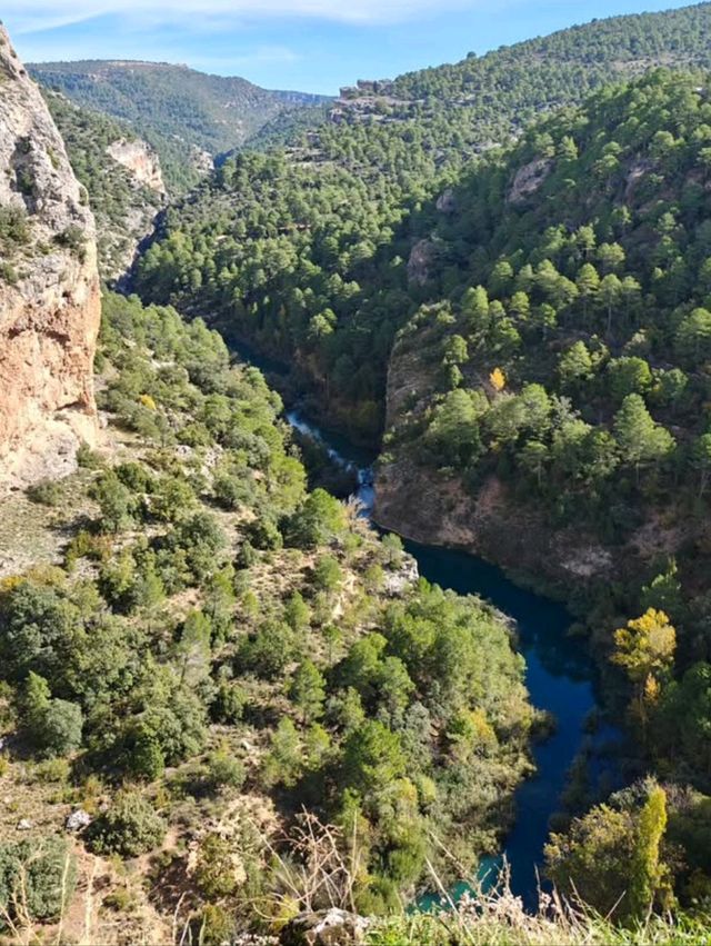 Peek Into the Wild