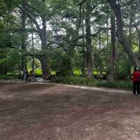 Blue Hole Regional Park – Wimberley