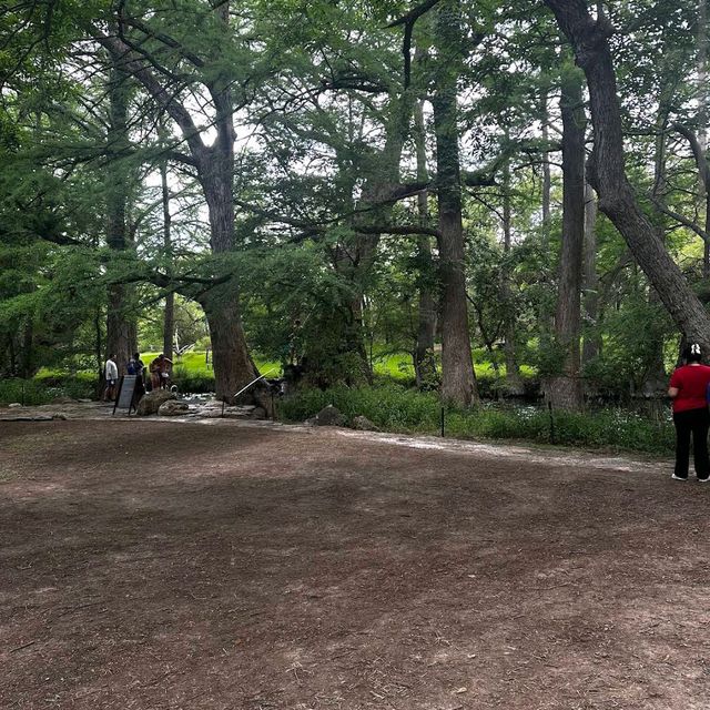 Blue Hole Regional Park – Wimberley