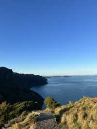 🗻 Omanawanui Track Carpark｜原始海岸與登山步調的交會