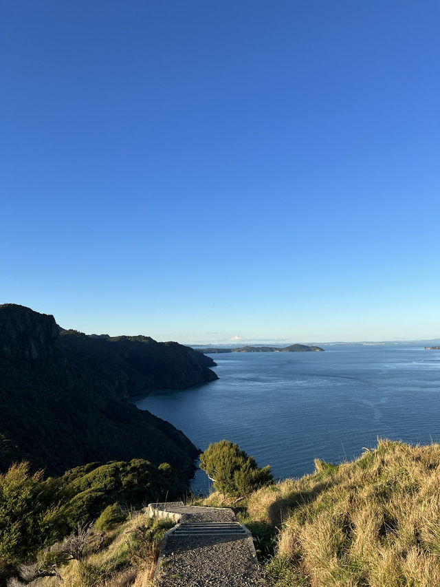 🗻 Omanawanui Track Carpark｜原始海岸與登山步調的交會