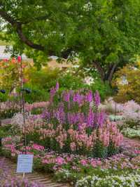 Ashikaga Flower Park สวนดอกไม้ใกล้โตเกียว🌹