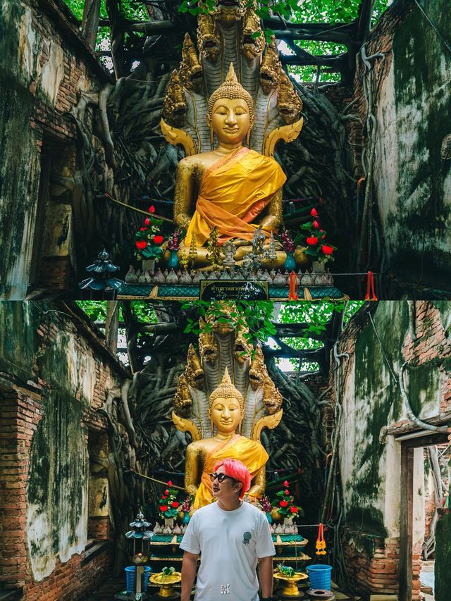 🌿 วัดสังกระต่าย Unseen ของอ่างทองที่แท้จริง