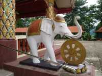 ไหว้..พระธาตุจอมแจ้ง