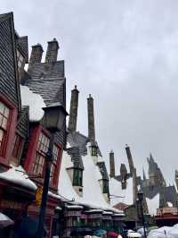 รีวิวโซนแฮรี่พอตเตอร์ที่ USJ