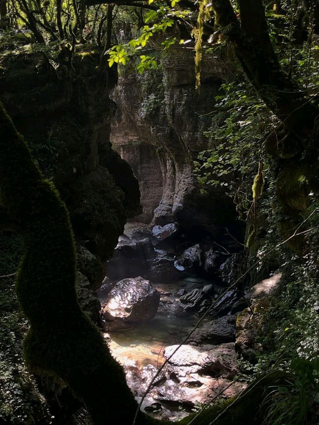Martvili Canyon is Straight-Up Magical