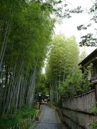 【竹林の小径】風が奏でる癒しの音🎋嵐山で心ほどけるひととき