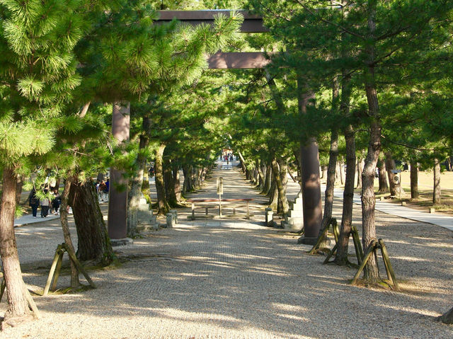 【出雲大社｜いずもたいしゃ｜島根県「ご縁の神様に会える、日本屈指のパワースポット」】