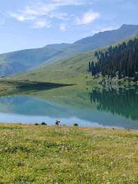 Emerald Fairy Lake: A Jewel Nestled in the Wilderness