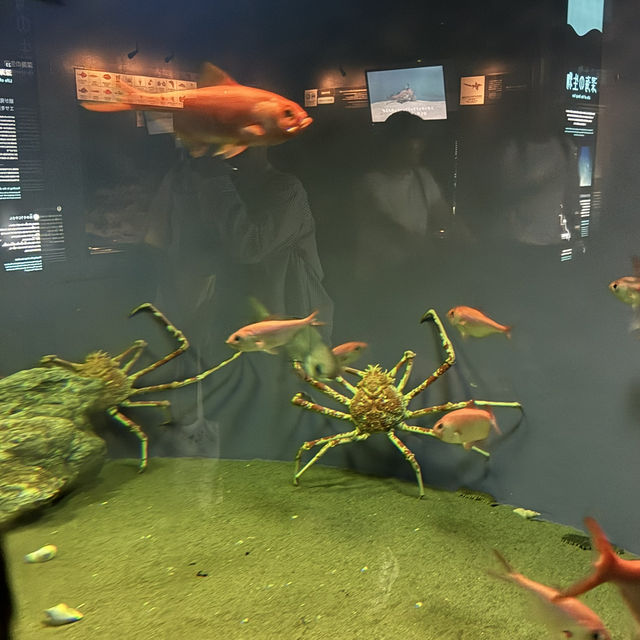 葛西臨海水族館