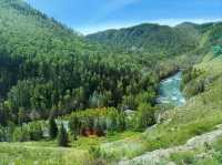 Mountains, Meadows & All the Feels. Altay Scenic Spot